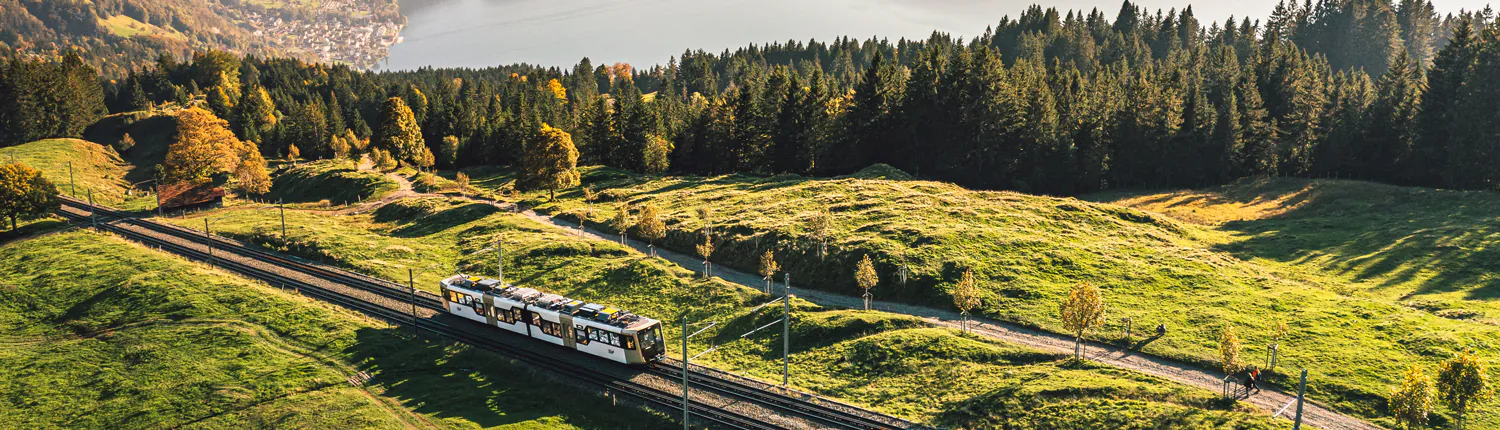 Rigi Cogwheel Railway